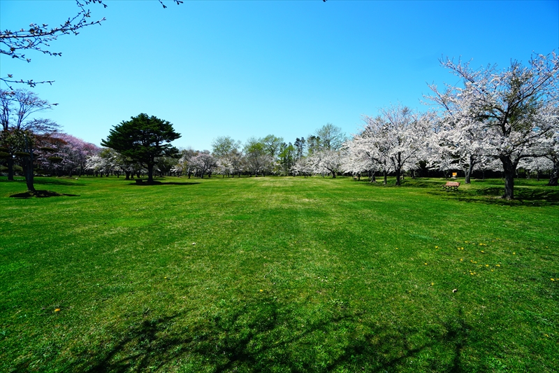 1053_八雲町さらんべ公園_北海道