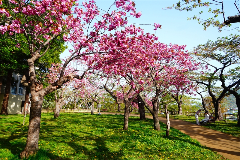 1046_函館公園_北海道