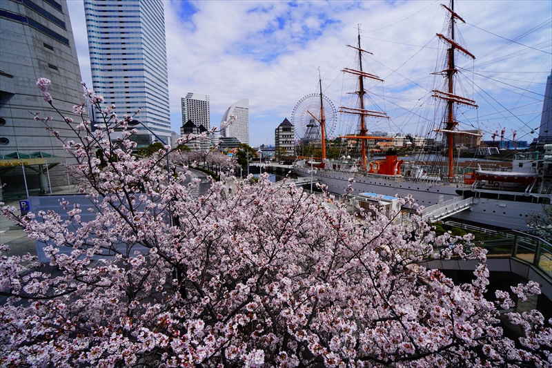 1114_なとみらい_神奈川