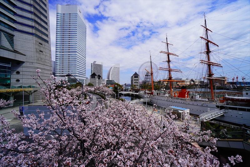1115_なとみらい_神奈川