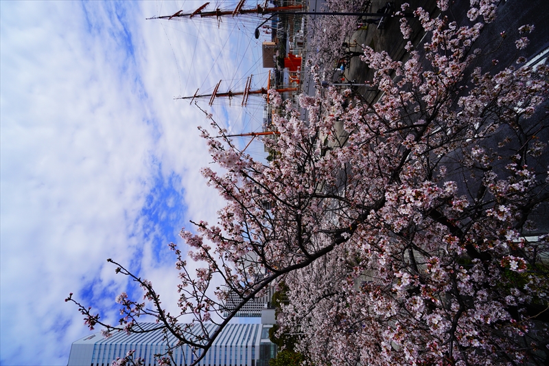 1116_なとみらい_神奈川