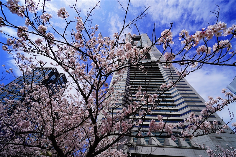 1119_なとみらい_神奈川