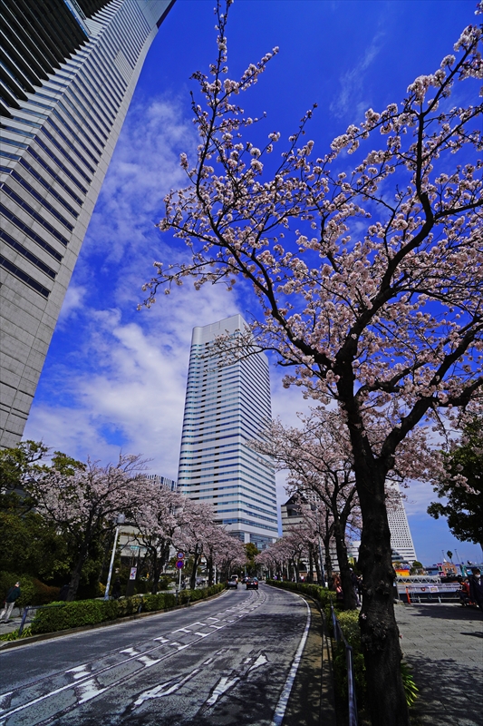 1121_なとみらい_神奈川