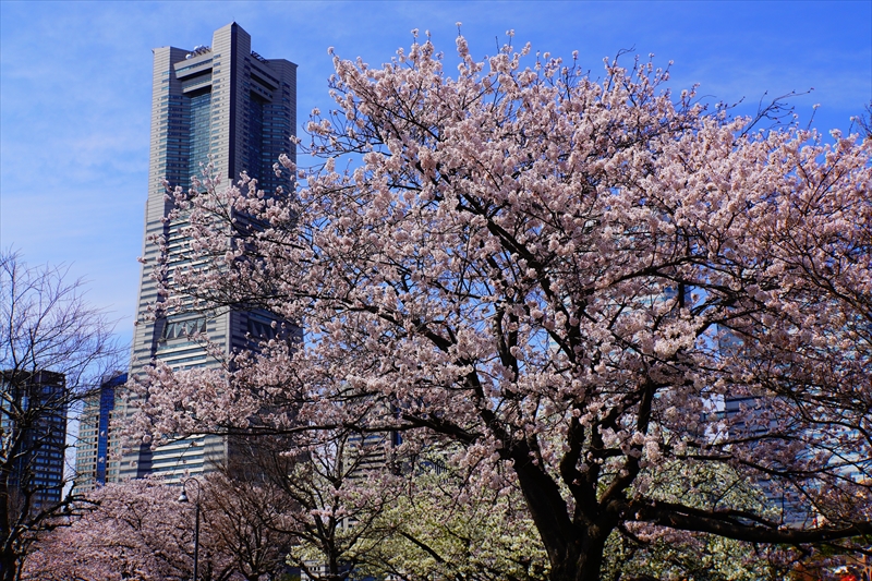 1122_なとみらい_神奈川