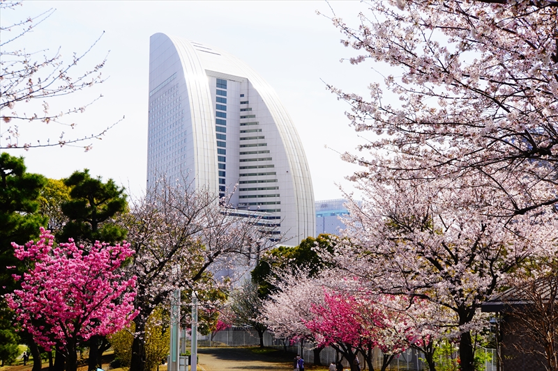 1131_なとみらい_神奈川