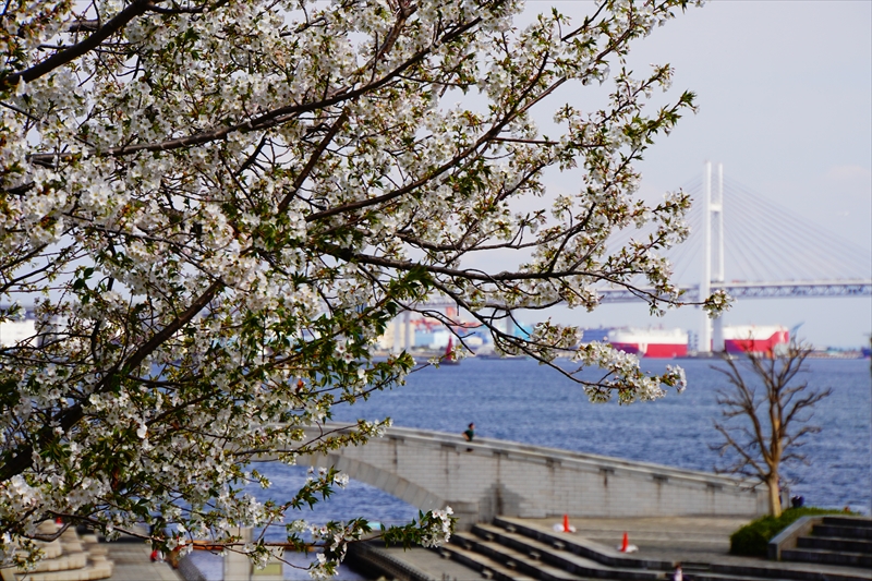 1132_なとみらい_神奈川