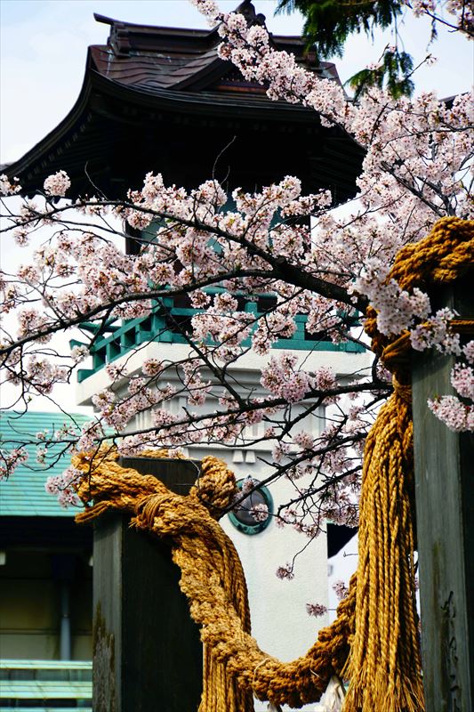 1056_伊勢山皇大神宮_神奈川