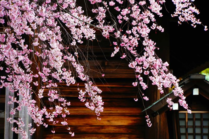 1057_伊勢山皇大神宮_神奈川