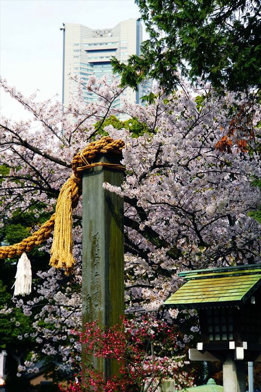 1060_伊勢山皇大神宮_神奈川