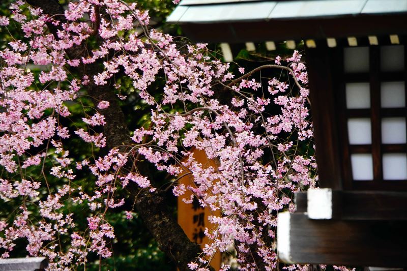 1061_伊勢山皇大神宮_神奈川