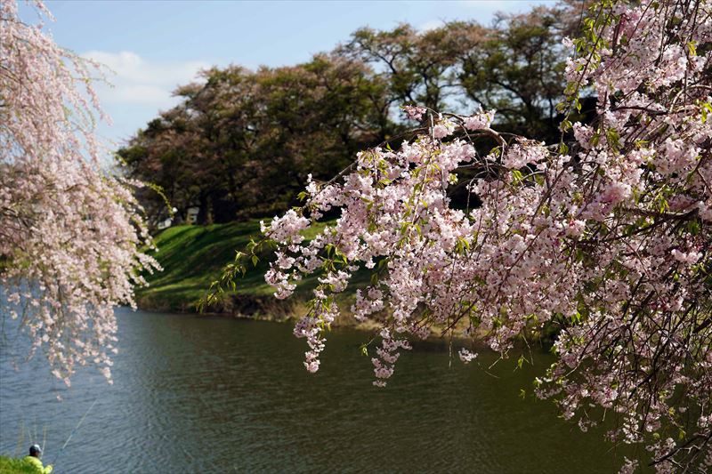 1044_白河市小峰城_福島