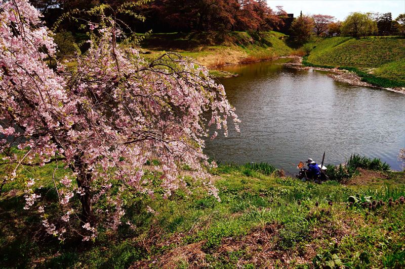 1046_白河市小峰城_福島