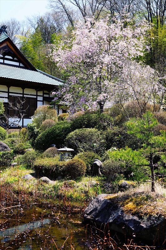 1040_白河市宝積院_福島