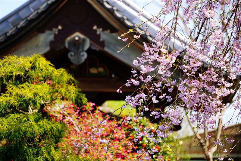 1042_白河市宝積院_福島