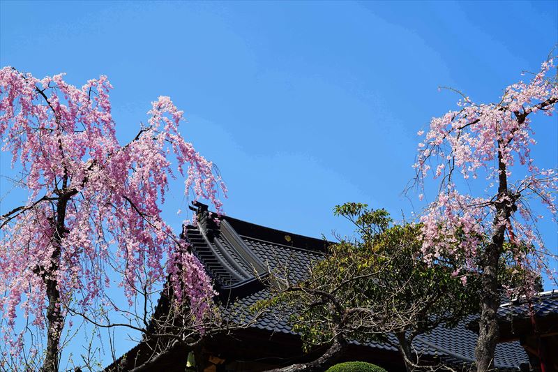 1011_泉崎村昌建寺_福島