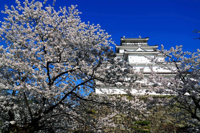 1015_会津鶴ヶ城_福島