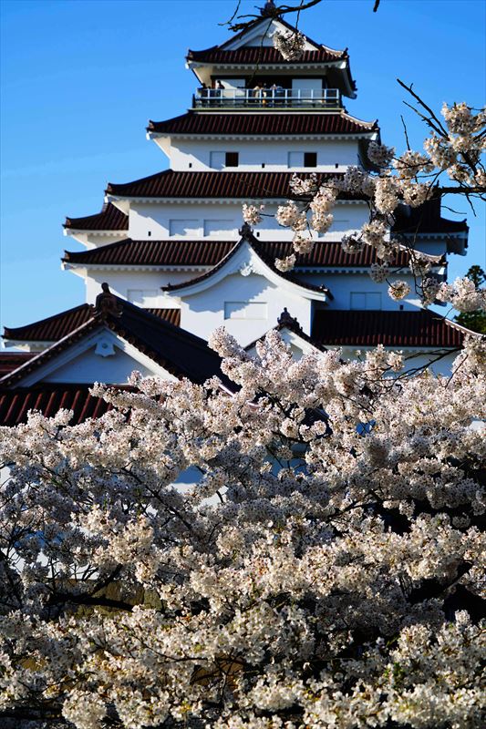 1020_会津鶴ヶ城_福島