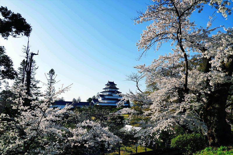 1022_会津鶴ヶ城_福島