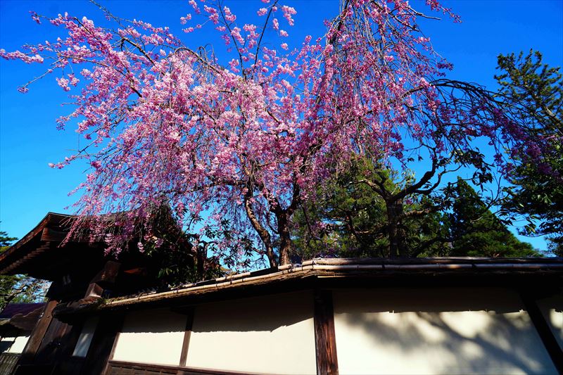 1032_会津鶴ヶ城_福島