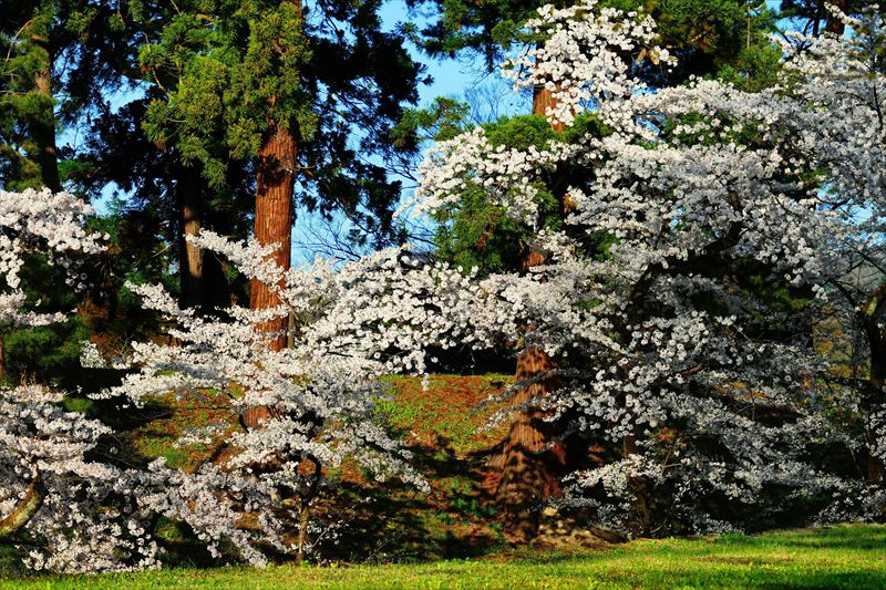 1034_会津鶴ヶ城_福島