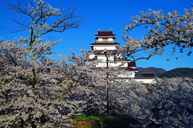 1035_会津鶴ヶ城_福島