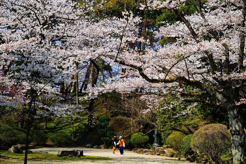 1031_千秋公園_秋田