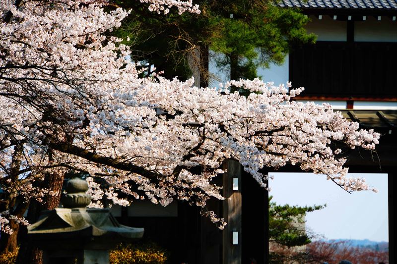 1040_千秋公園_秋田