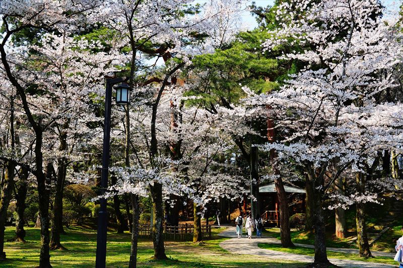 1044_千秋公園_秋田