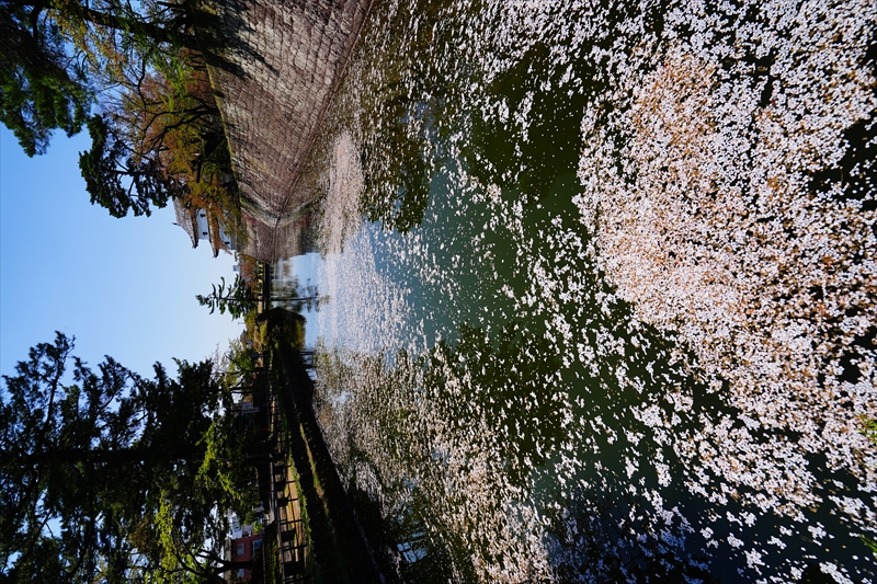 1015_新発田城_新潟