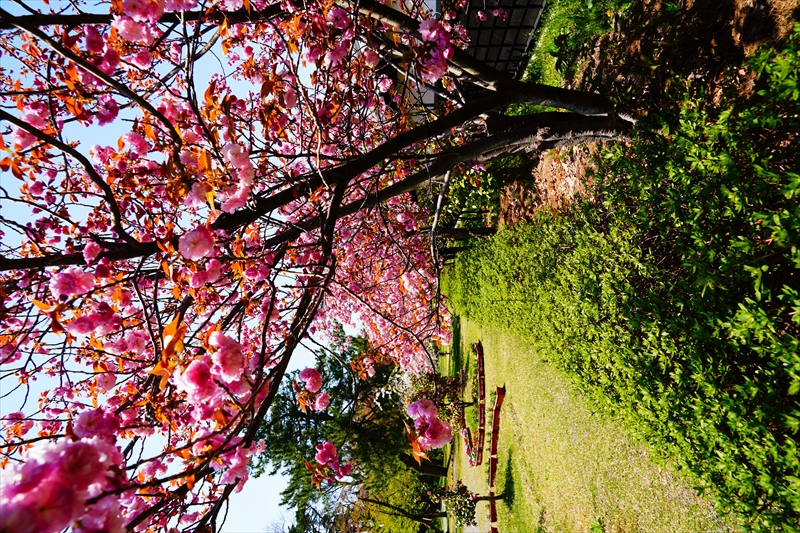 1016_新発田城_新潟