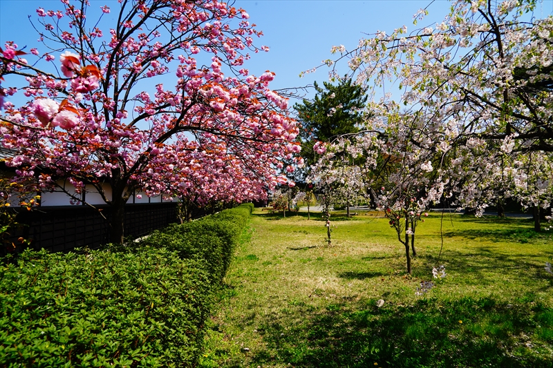 1022_新発田城_新潟