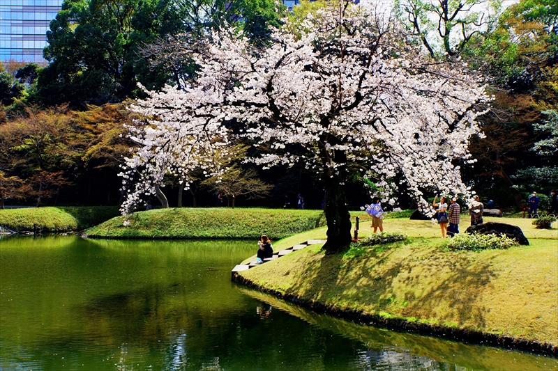 1049_小石川後楽園_東京