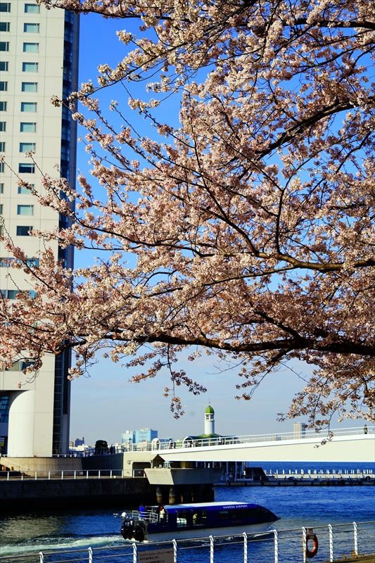 1133_なとみらい_神奈川