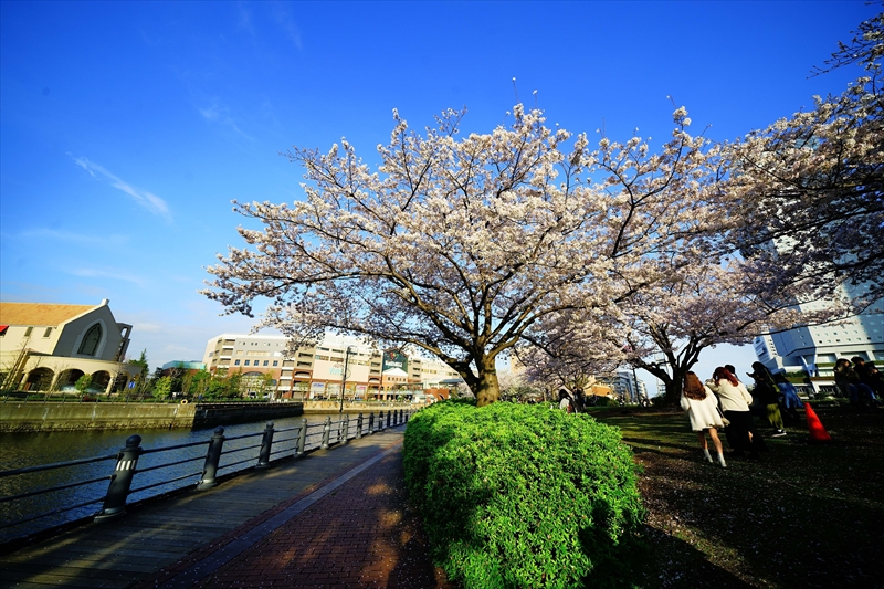 1142_なとみらい_神奈川