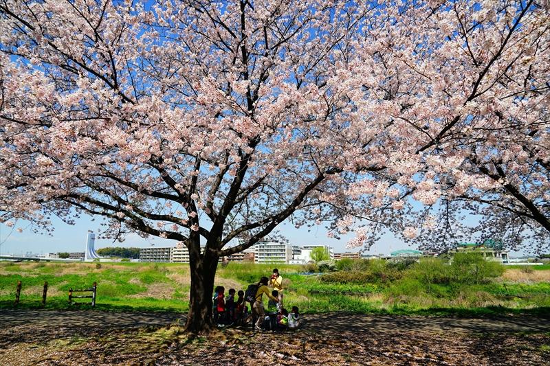 1092_新横浜公園_神奈川