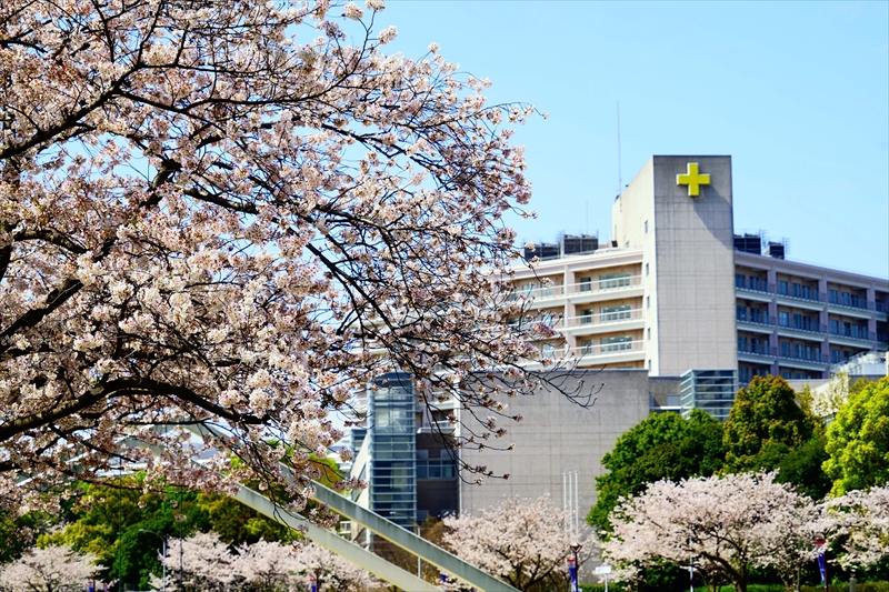 1097_新横浜公園_神奈川