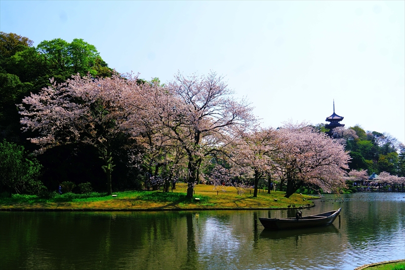 1149_三渓園_神奈川