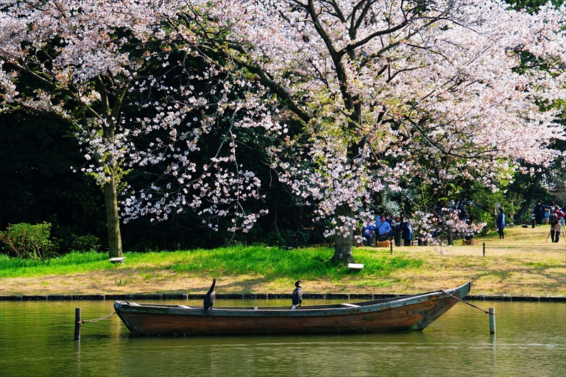 1151_三渓園_神奈川