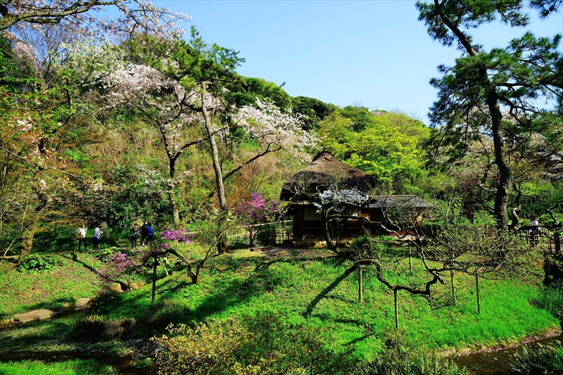 1160_三渓園_神奈川