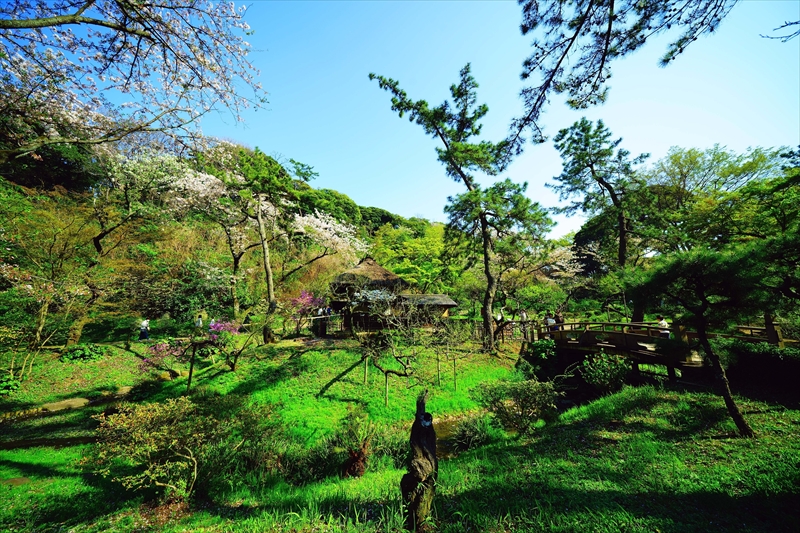 1161_三渓園_神奈川