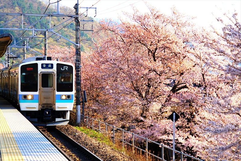 1007_勝沼ぶどう卿駅_山梨
