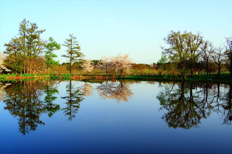 1071_浪岡湿生花園_青森