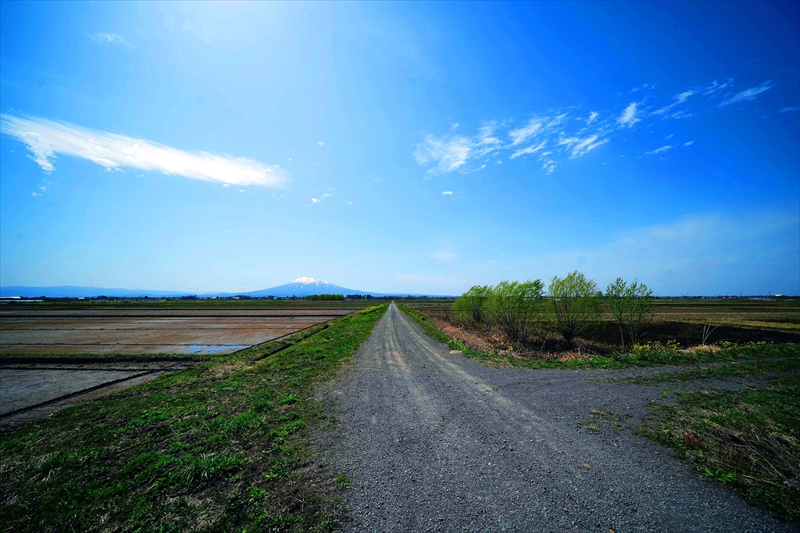 1080_浪岡湿生花園_青森