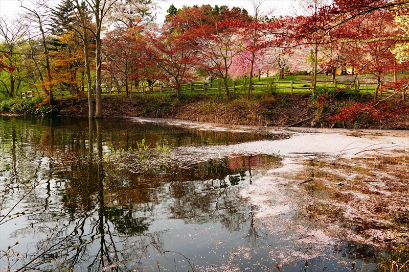 1329_芦野公園_青森