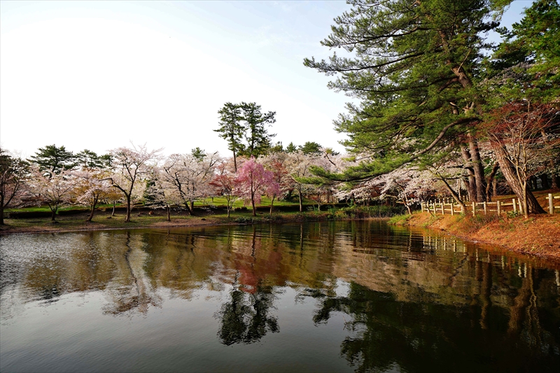 1330_芦野公園_青森
