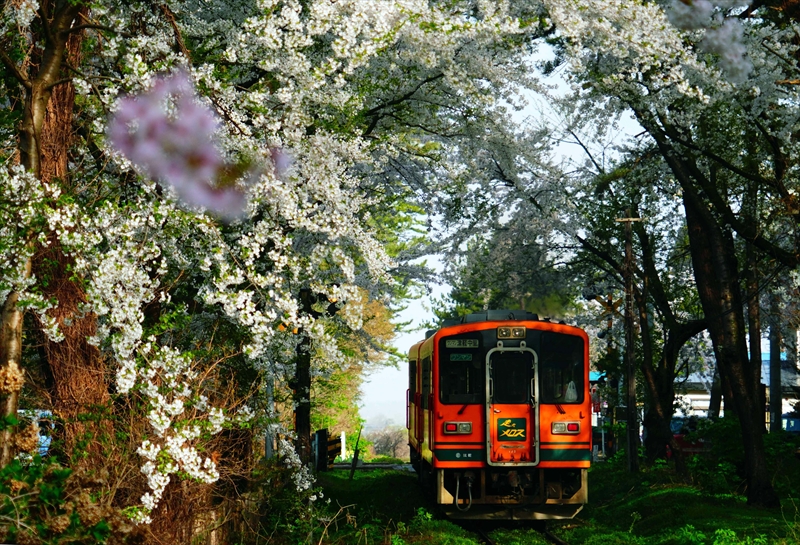 1332_芦野公園_青森