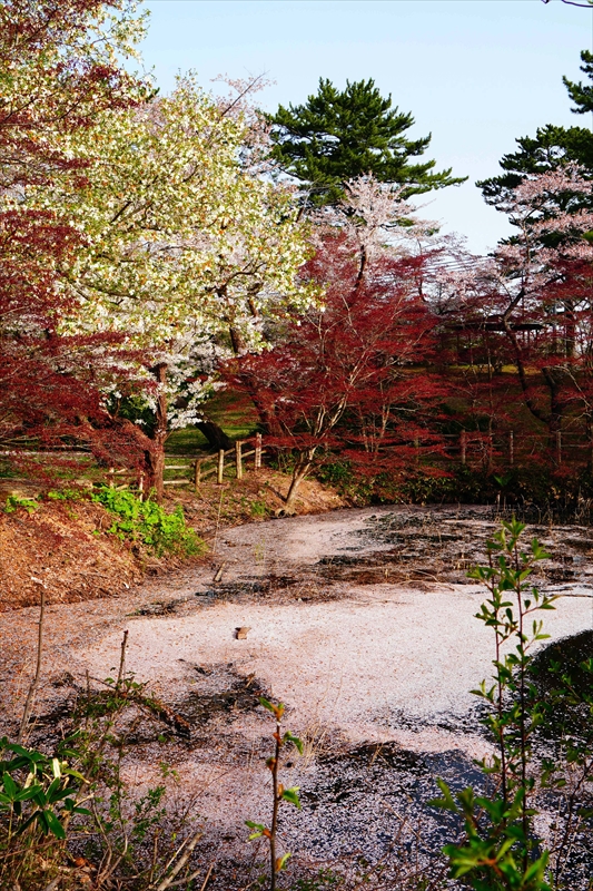 1334_芦野公園_青森