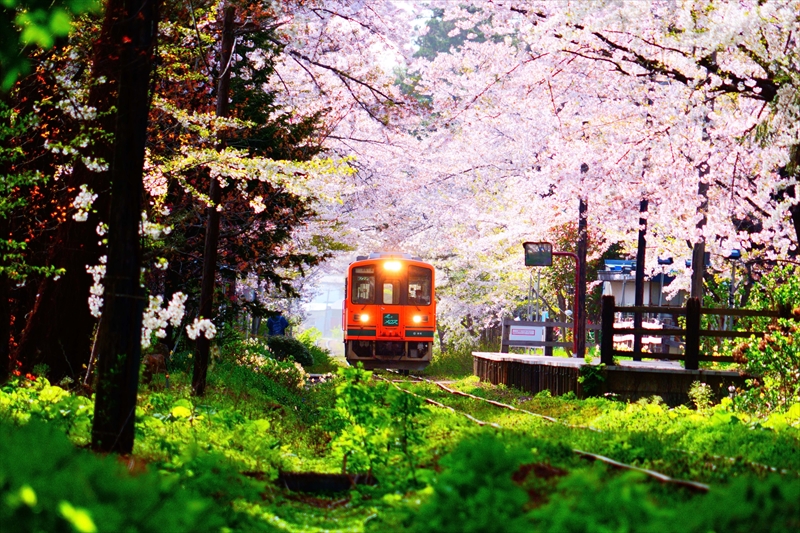 1342_芦野公園_青森