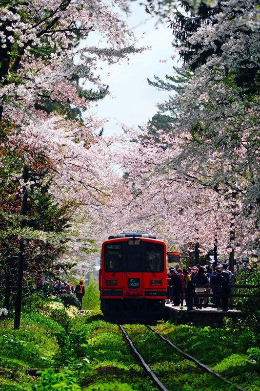 1346_芦野公園_青森