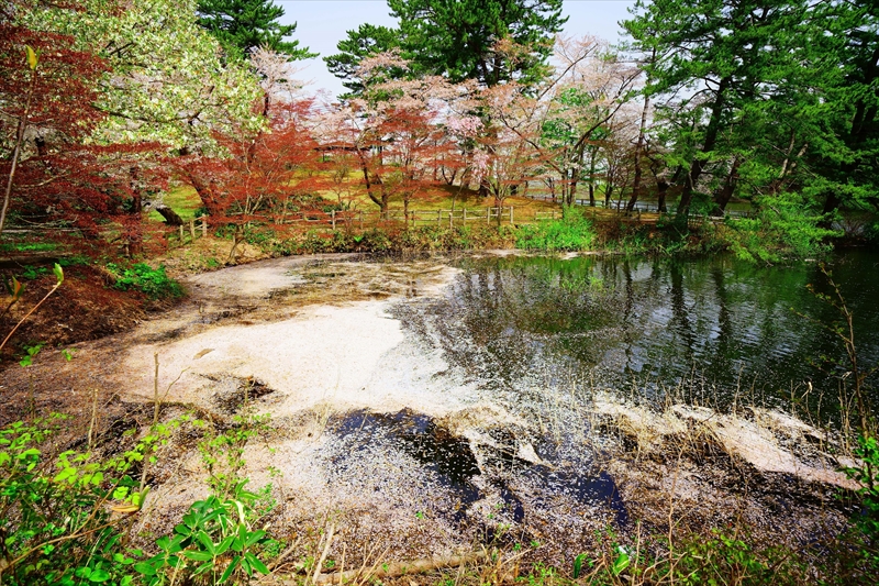 1355_芦野公園_青森
